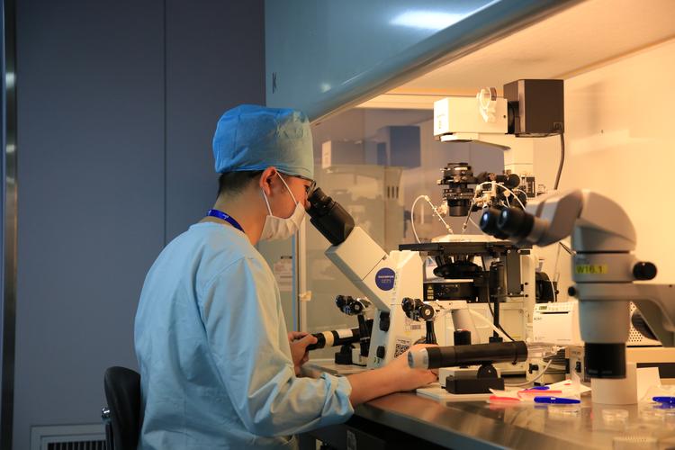 国内试管代怀机构【国内试管代怀机构：助您圆梦成家】