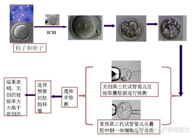 国内试管供卵的条件【国内试管供卵条件解析】