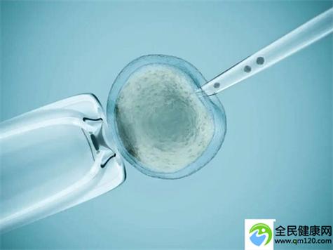 国内试管代怀公司哪家便宜(国内试管代怀公司哪家价格实惠)