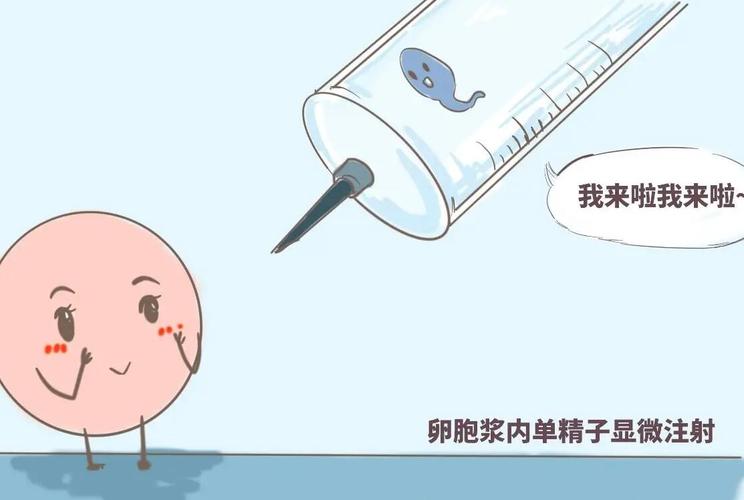 代生儿子几多费用(代生儿子费用调查：究竟需要多少钱？)