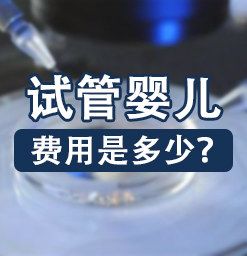 国内能做试管代怀吗【国内试管代怀孕可行吗？】