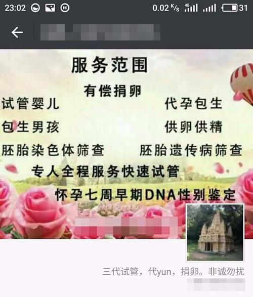 代生男孩有吗-代生男孩有吗?解密代孕男孩热潮