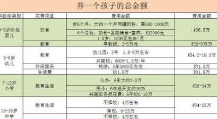 代生孩子费用-代生孩子费用：一项重要的经济考量